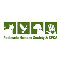 SPCA