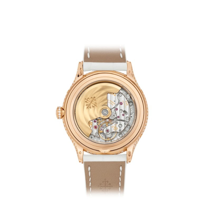 Patek Philippe Complications Steel 4948R-001