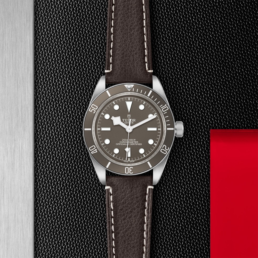 TUDOR Black Bay 58 Watch - M79010SG-0001 at Kerns Fine Jewelry