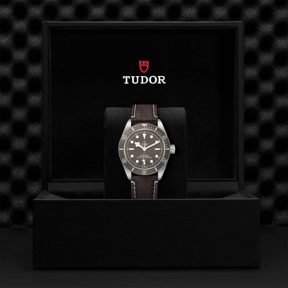 TUDOR Black Bay 58 Watch - M79010SG-0001 at Kerns Fine Jewelry