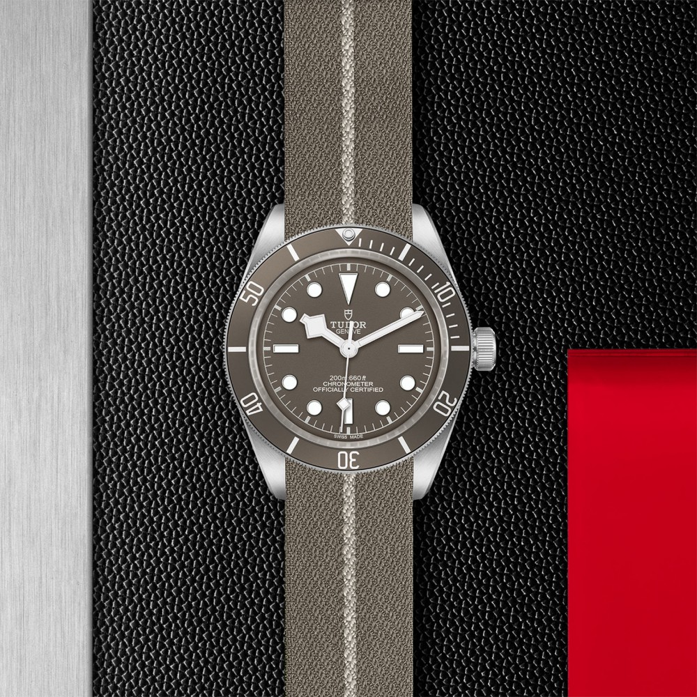 TUDOR Black Bay 58 Watch - M79010SG-0002 at Kerns Fine Jewelry