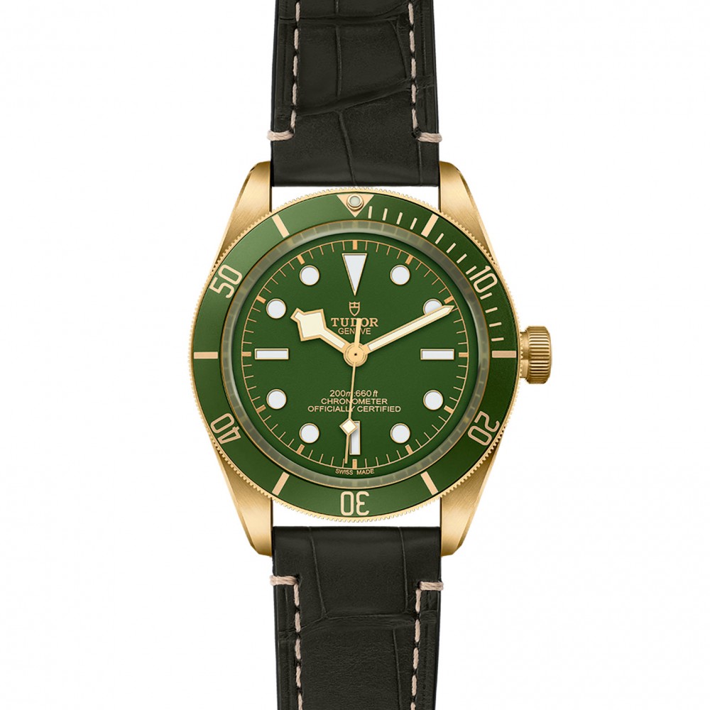 TUDOR Black Bay 58 Watch - M79018V-0001 at Kerns Fine Jewelry