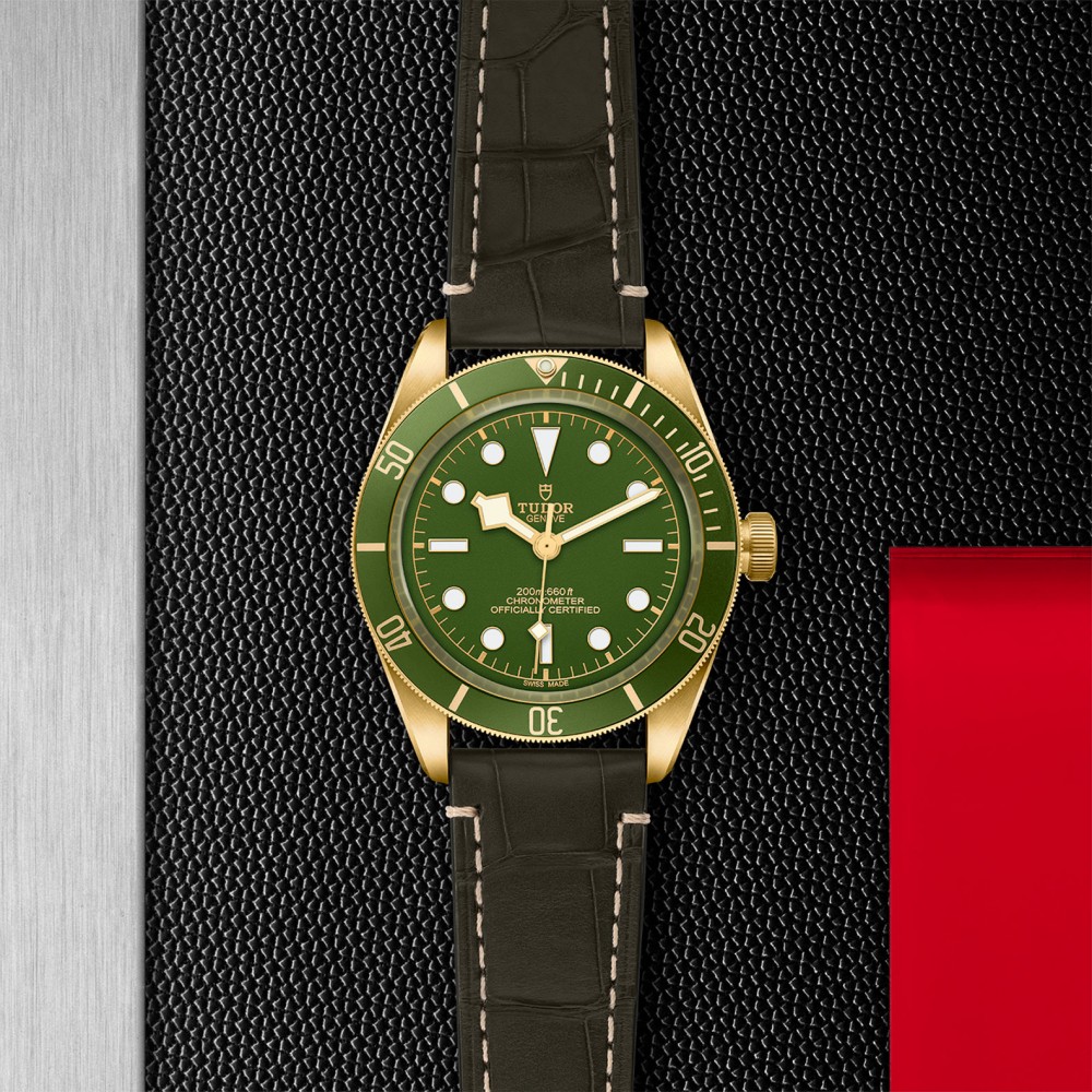 TUDOR Black Bay 58 Watch - M79018V-0001 at Kerns Fine Jewelry