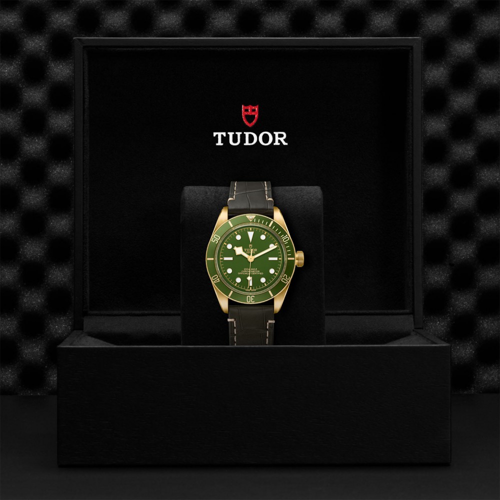 TUDOR Black Bay 58 Watch - M79018V-0001 at Kerns Fine Jewelry