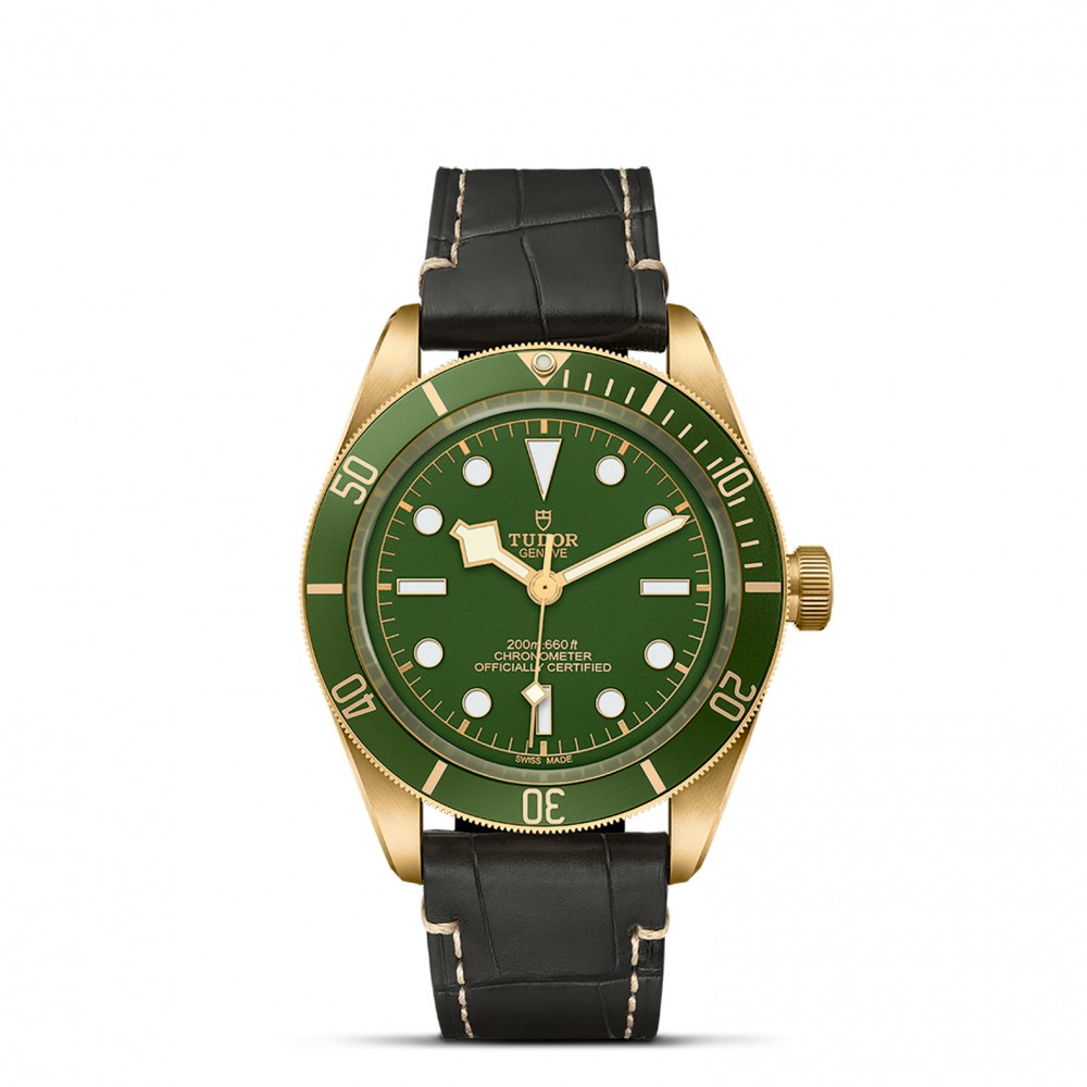 TUDOR Black Bay 58 Watch - M79018V-0001 at Kerns Fine Jewelry