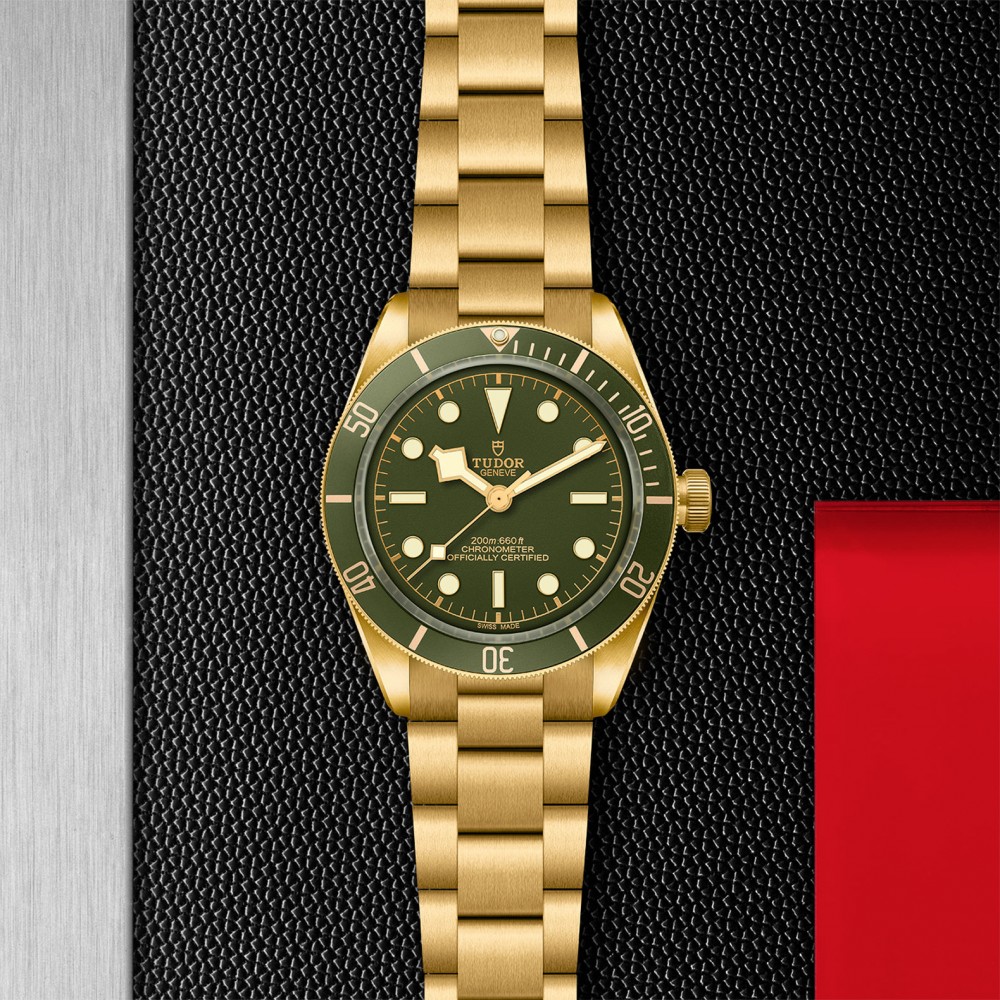 TUDOR Black Bay 58 Watch - M79018V-0006 at Kerns Fine Jewelry