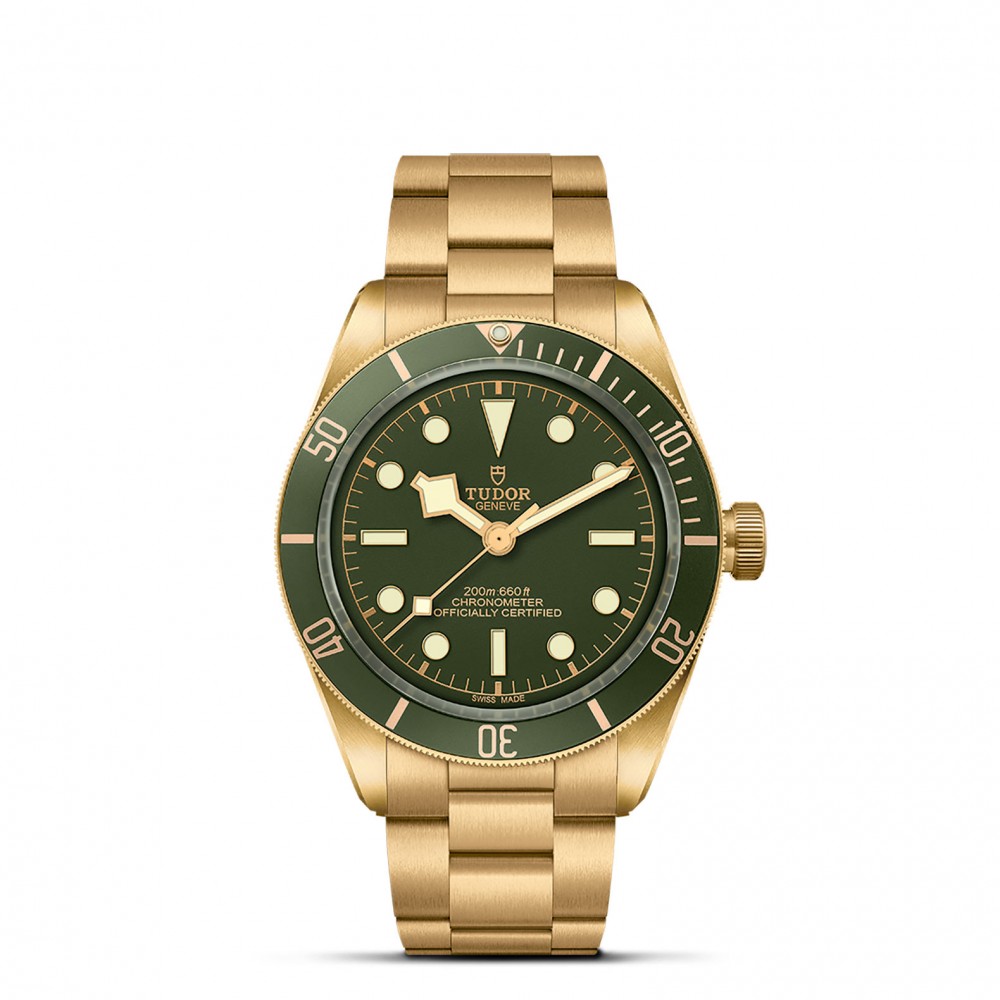 TUDOR Black Bay 58 Watch - M79018V-0006 at Kerns Fine Jewelry
