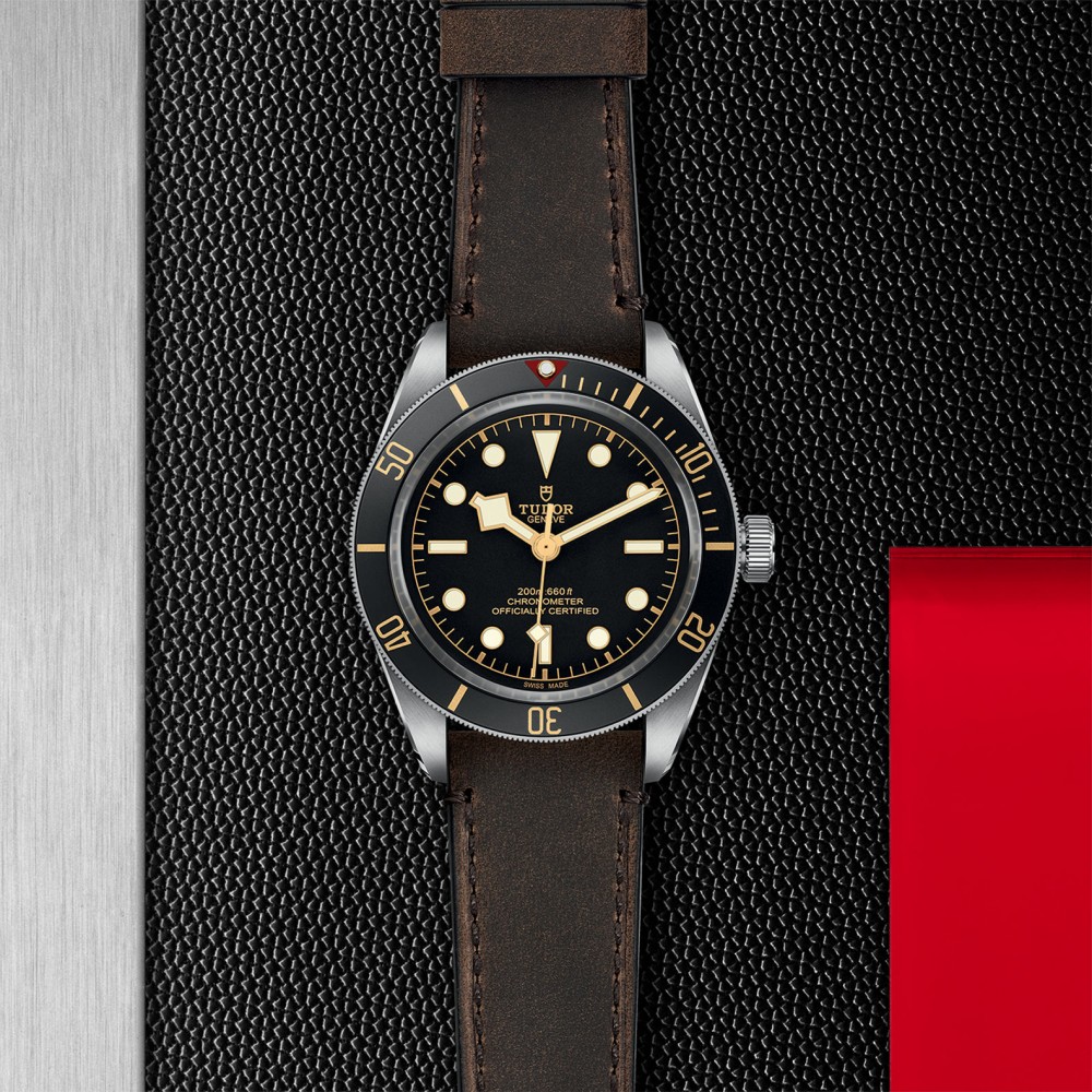 TUDOR Black Bay 58 Watch - M79030N-0002 at Kerns Fine Jewelry