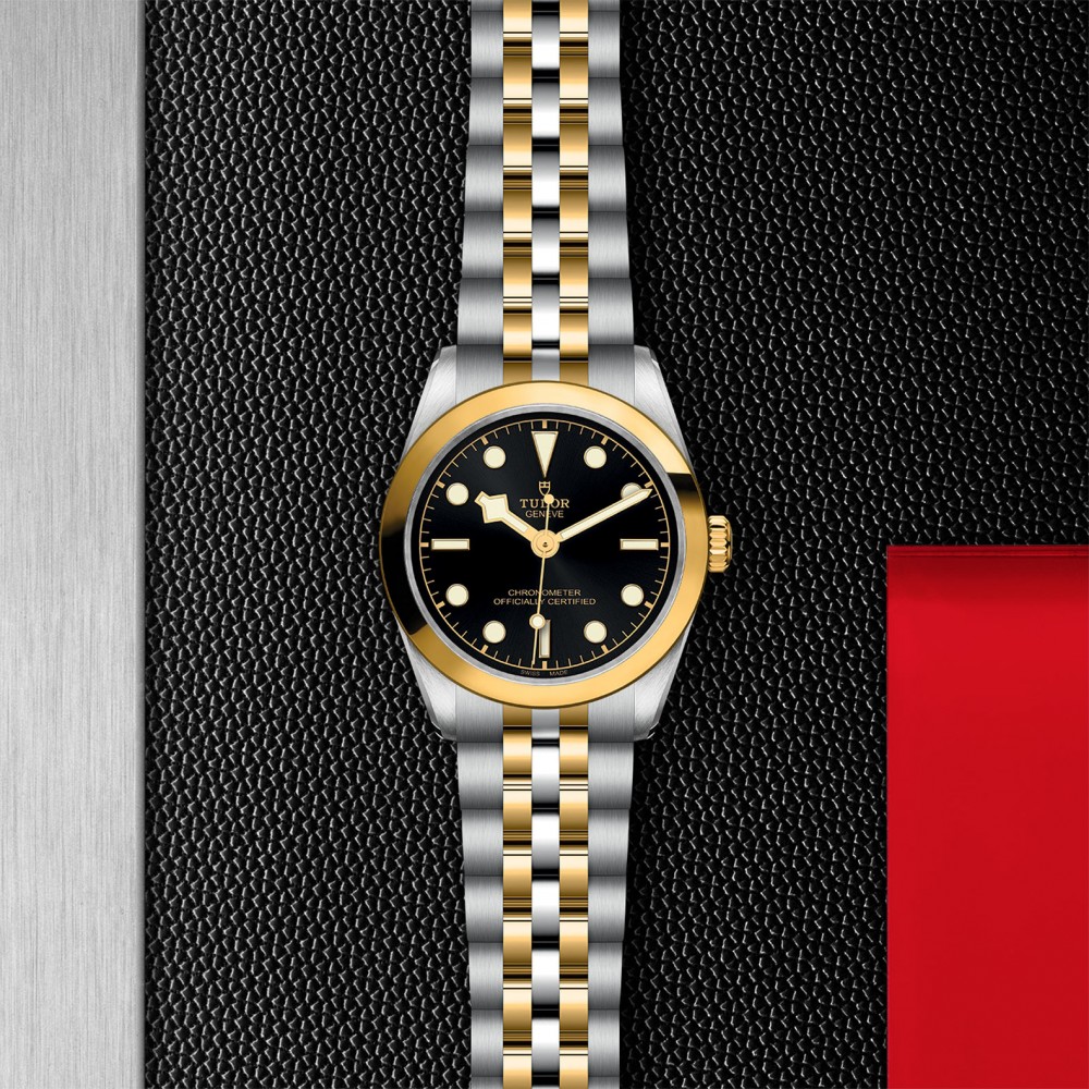 TUDOR Black Bay 31/36/39/41 S&G Watch - M79603-0001 at Kerns Fine Jewelry