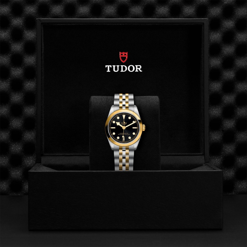 TUDOR Black Bay 31/36/39/41 S&G Watch - M79603-0001 at Kerns Fine Jewelry