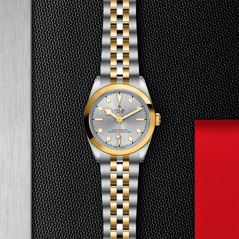 TUDOR Black Bay 31/36/39/41 S&G Watch - M79603-0002 at Kerns Fine Jewelry