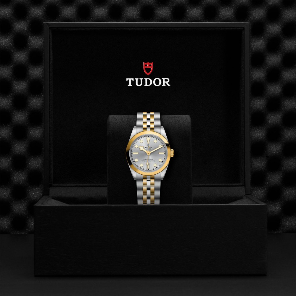 TUDOR Black Bay 31/36/39/41 S&G Watch - M79603-0002 at Kerns Fine Jewelry