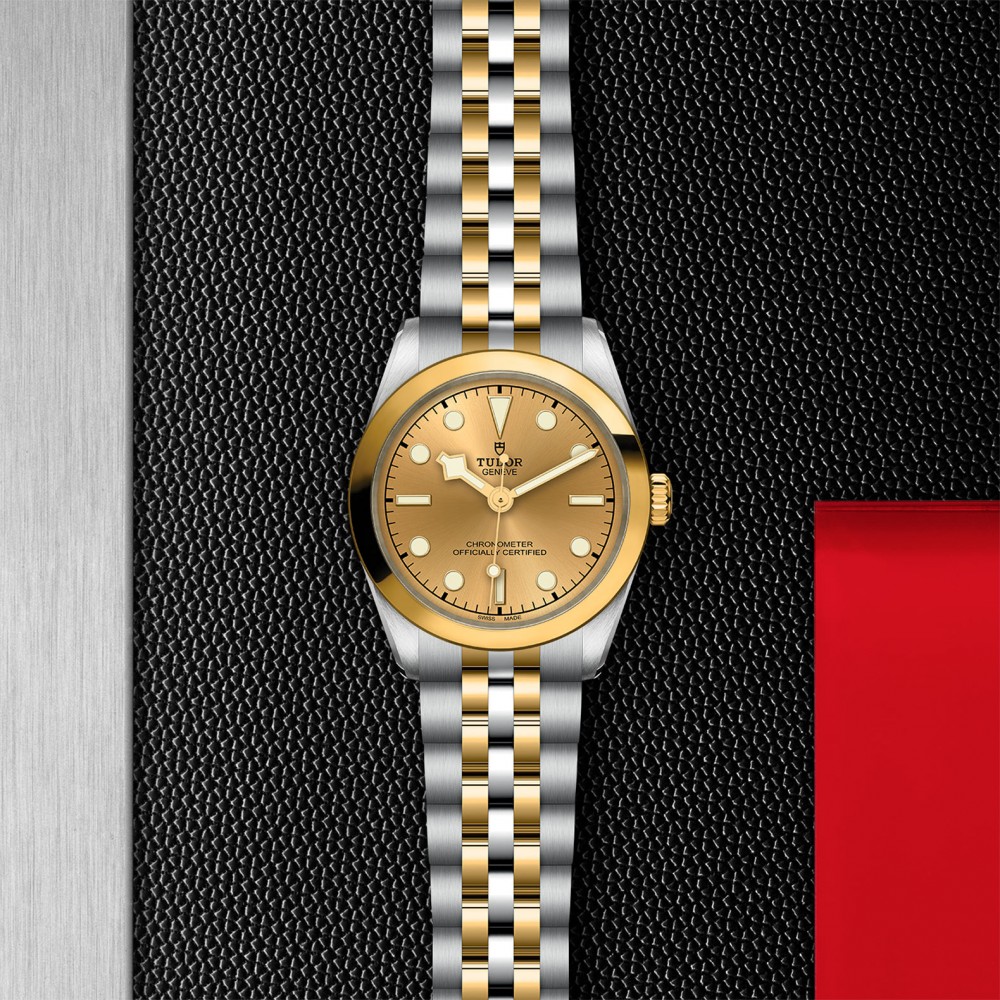 TUDOR Black Bay 31/36/39/41 S&G Watch - M79603-0005 at Kerns Fine Jewelry