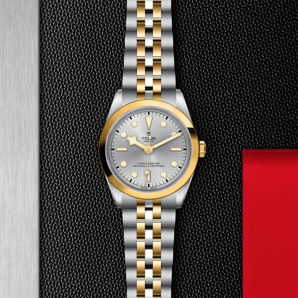 TUDOR Black Bay 31/36/39/41 S&G Watch - M79643-0002 at Kerns Fine Jewelry