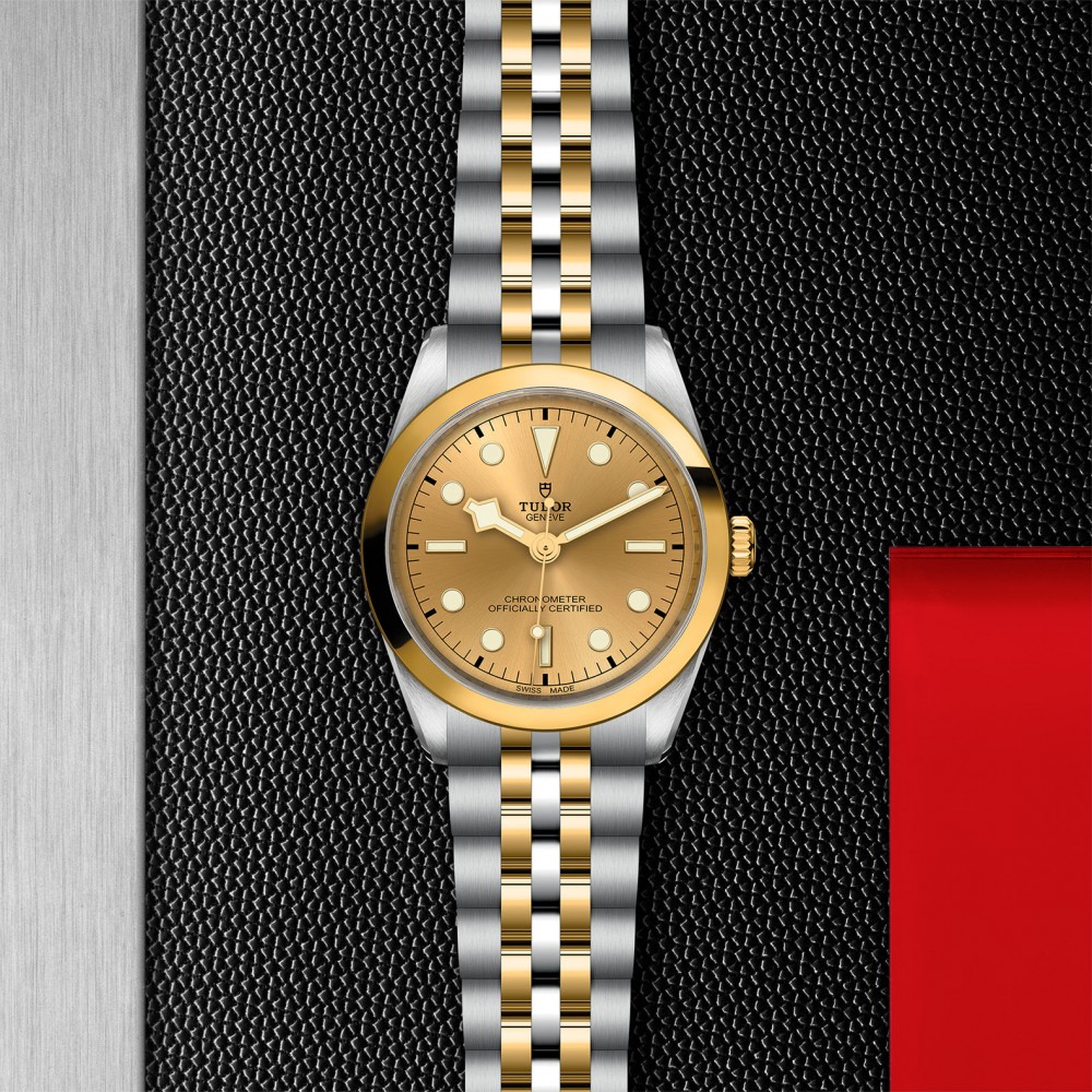 TUDOR Black Bay 31/36/39/41 S&G Watch - M79643-0005 at Kerns Fine Jewelry
