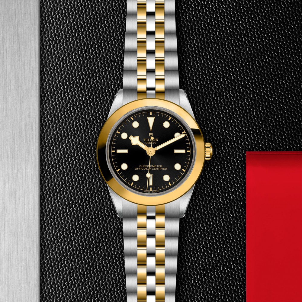TUDOR Black Bay 31/36/39/41 S&G Watch - M79663-0001 at Kerns Fine Jewelry