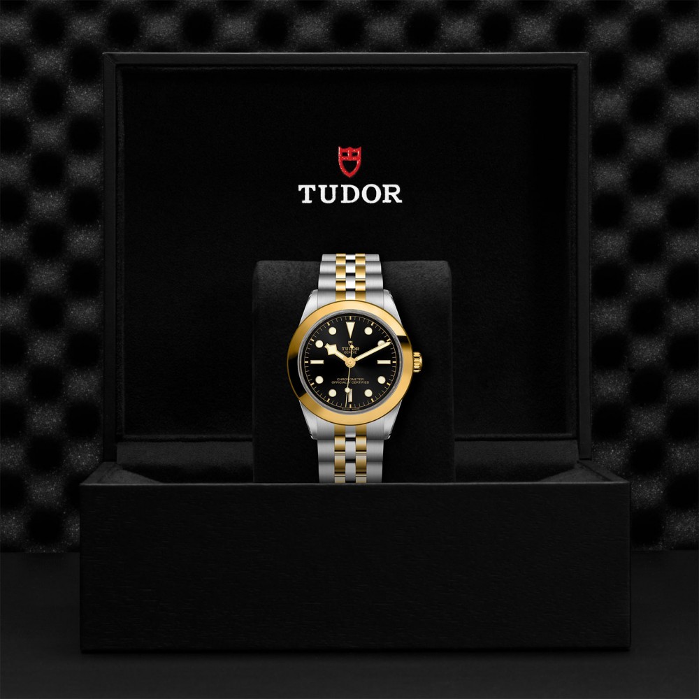 TUDOR Black Bay 31/36/39/41 S&G Watch - M79663-0001 at Kerns Fine Jewelry