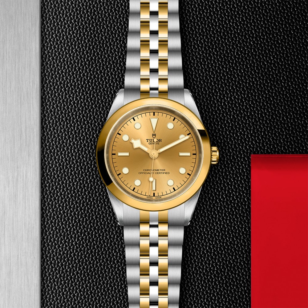 TUDOR Black Bay 31/36/39/41 S&G Watch - M79683-0005 at Kerns Fine Jewelry