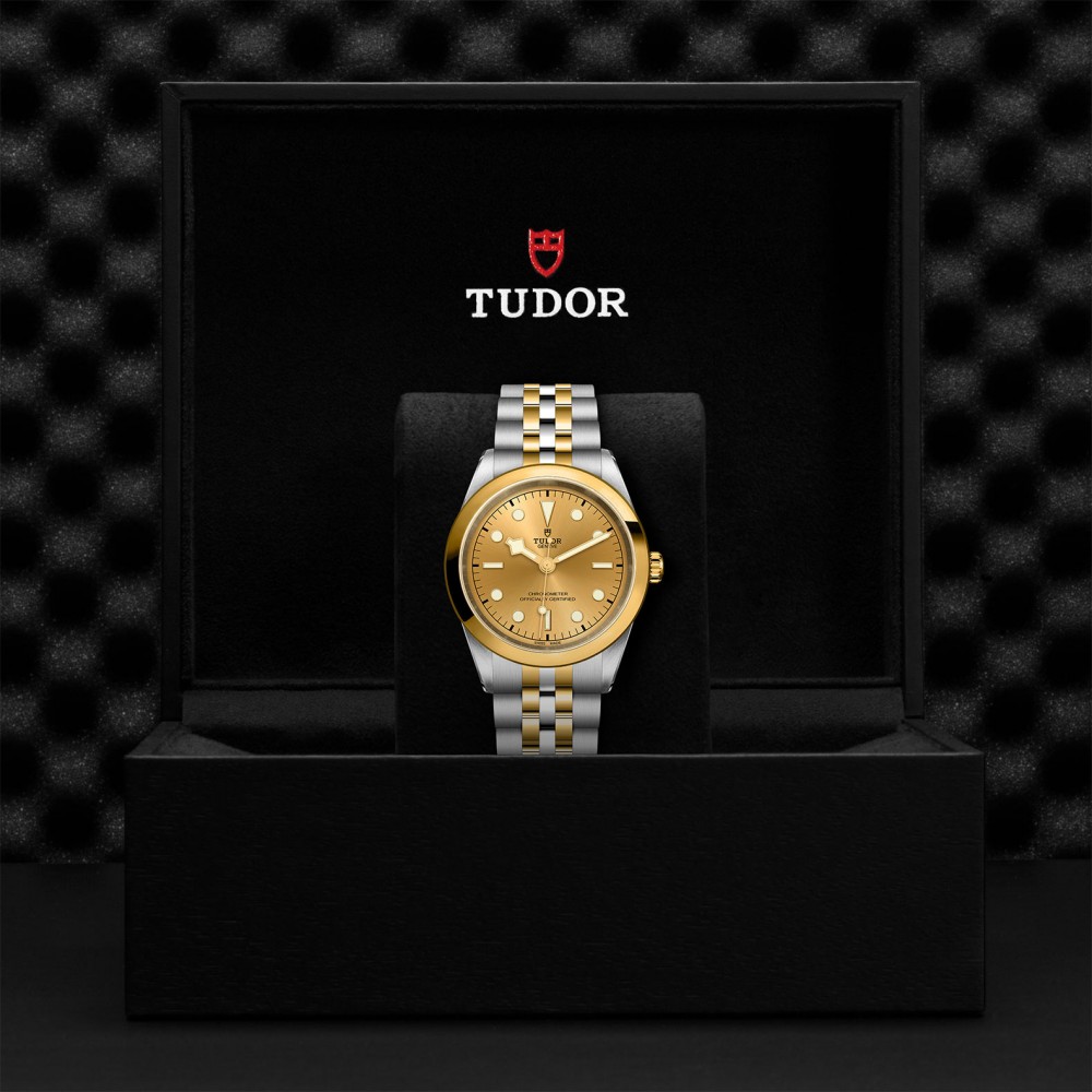 TUDOR Black Bay 31/36/39/41 S&G Watch - M79683-0005 at Kerns Fine Jewelry