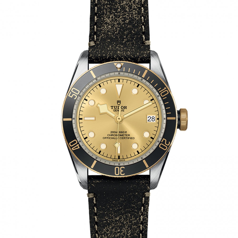 TUDOR Black Bay Watch - M79733N-0003 at Kerns Fine Jewelry