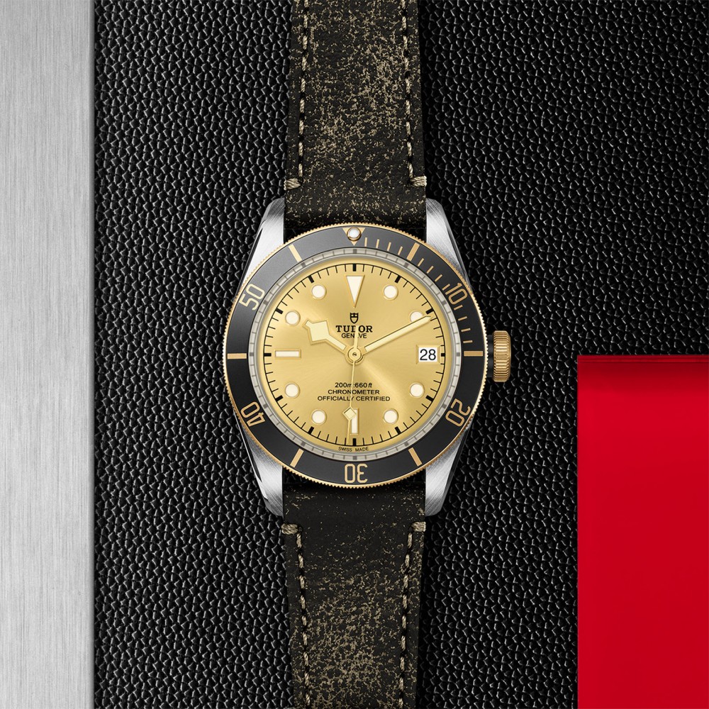 TUDOR Black Bay Watch - M79733N-0003 at Kerns Fine Jewelry