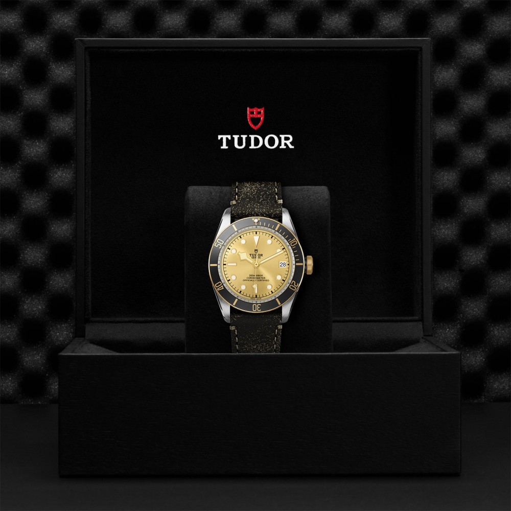 TUDOR Black Bay Watch - M79733N-0003 at Kerns Fine Jewelry