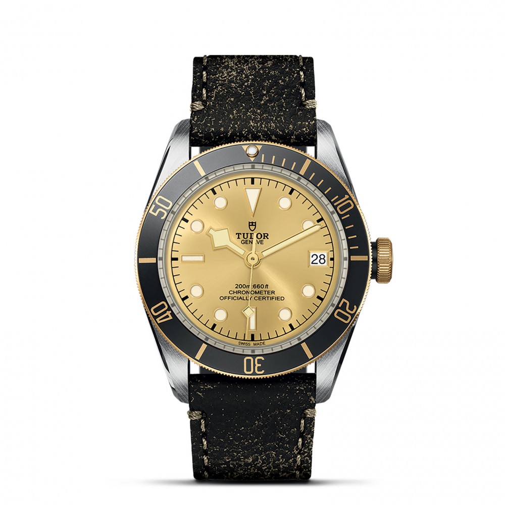 TUDOR Black Bay Watch - M79733N-0003 at Kerns Fine Jewelry