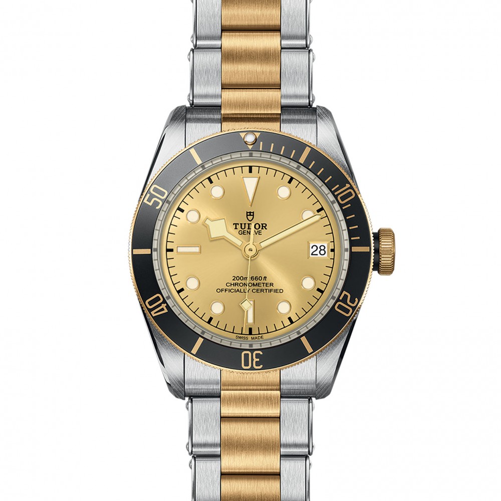 TUDOR Black Bay Watch - M79733N-0004 at Kerns Fine Jewelry