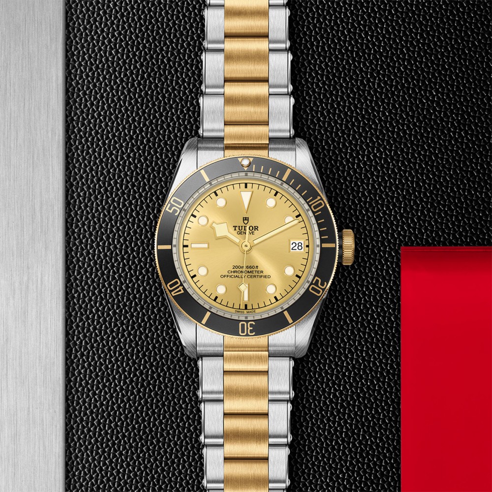 TUDOR Black Bay Watch - M79733N-0004 at Kerns Fine Jewelry