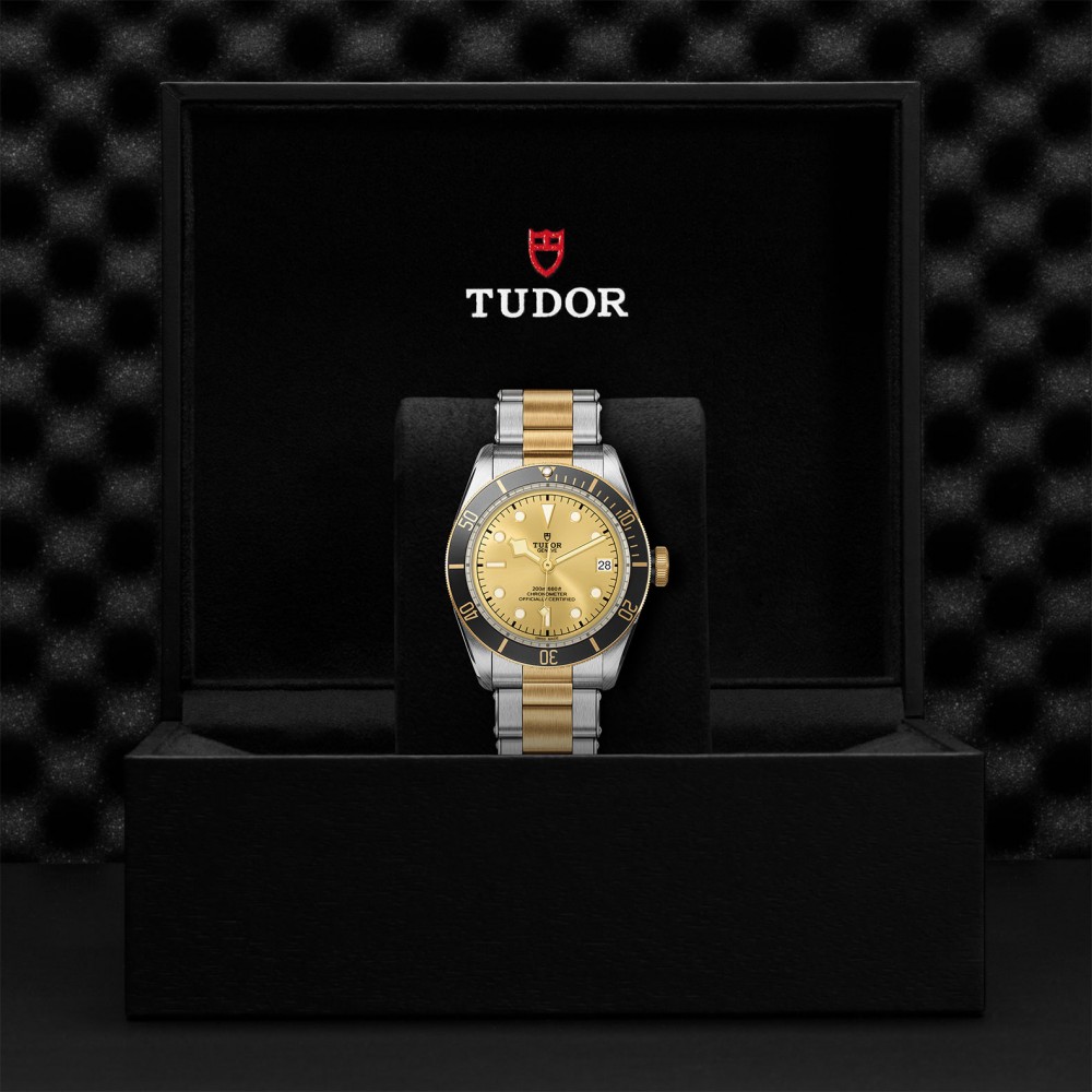 TUDOR Black Bay Watch - M79733N-0004 at Kerns Fine Jewelry