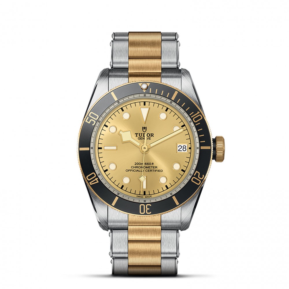 TUDOR Black Bay Watch - M79733N-0004 at Kerns Fine Jewelry