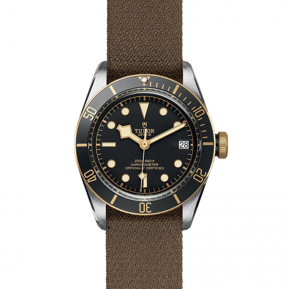 TUDOR Black Bay Watch - M79733N-0005 at Kerns Fine Jewelry