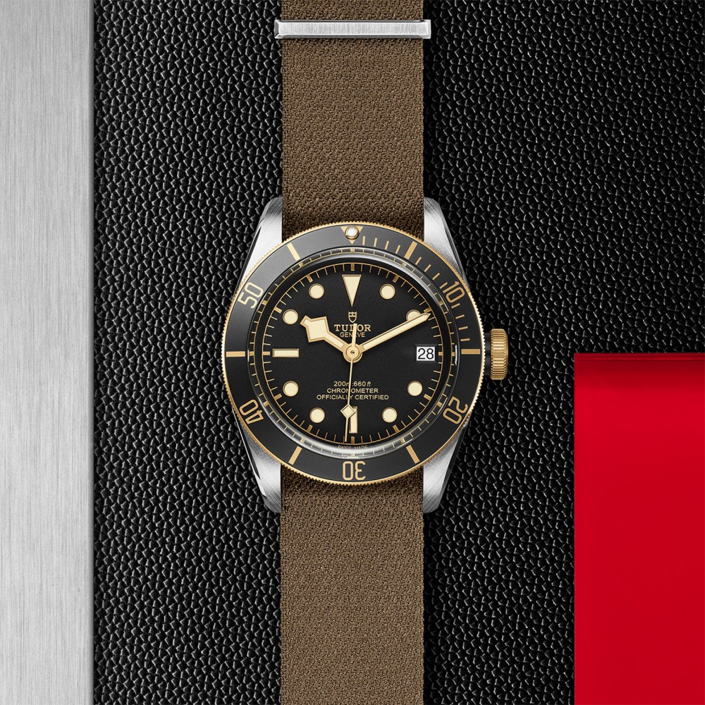 TUDOR Black Bay Watch - M79733N-0005 at Kerns Fine Jewelry