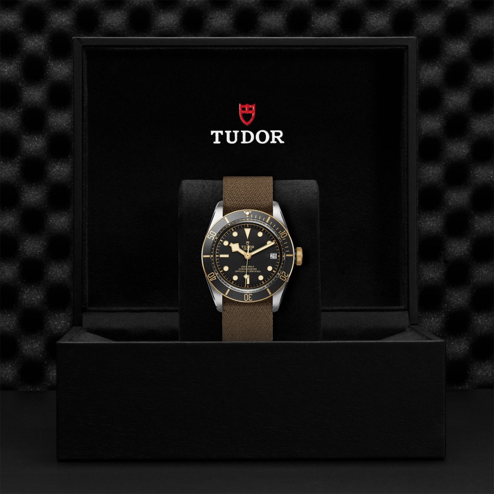 TUDOR Black Bay Watch - M79733N-0005 at Kerns Fine Jewelry