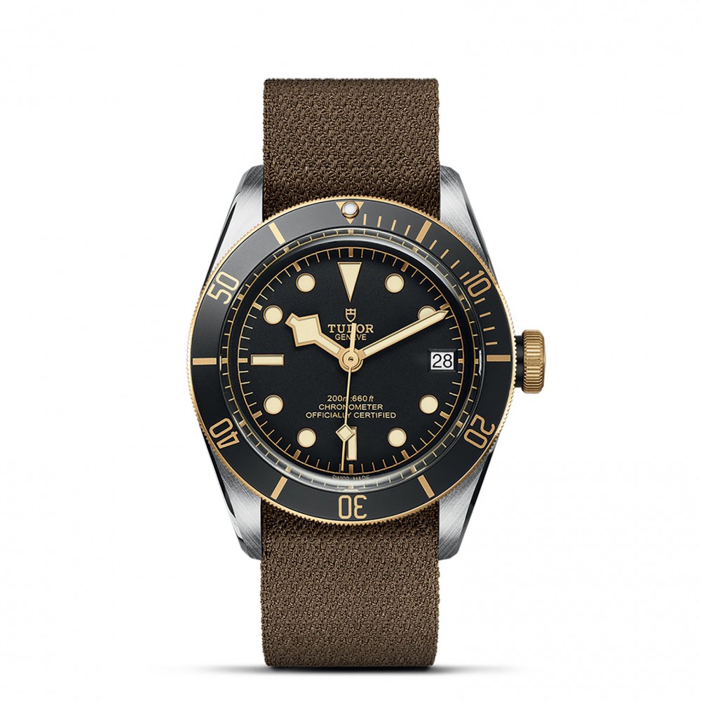 TUDOR Black Bay Watch - M79733N-0005 at Kerns Fine Jewelry