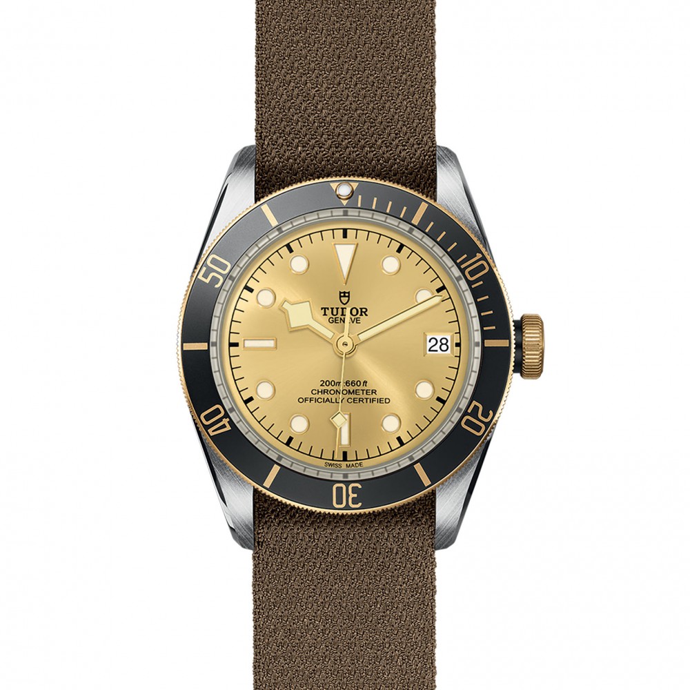TUDOR Black Bay Watch - M79733N-0006 at Kerns Fine Jewelry