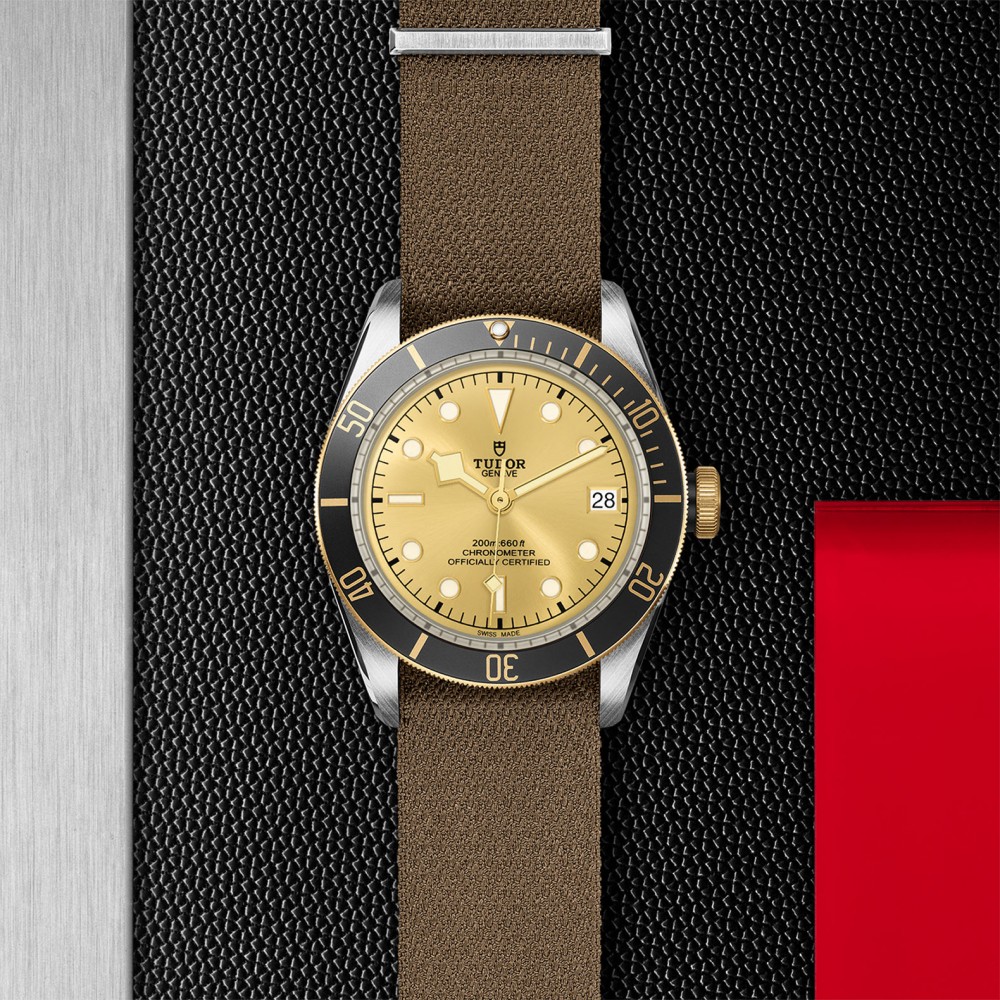 TUDOR Black Bay Watch - M79733N-0006 at Kerns Fine Jewelry