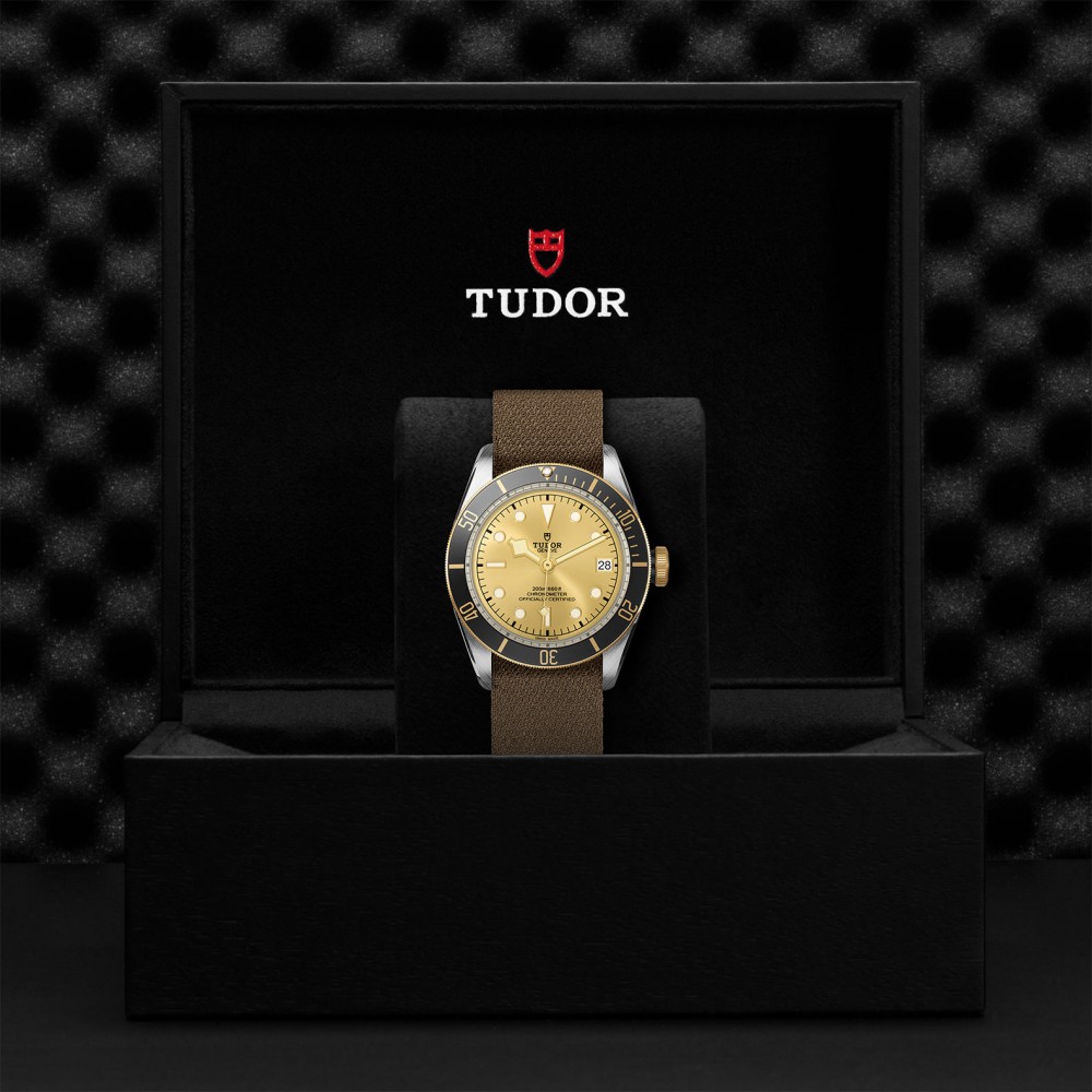 TUDOR Black Bay Watch - M79733N-0006 at Kerns Fine Jewelry