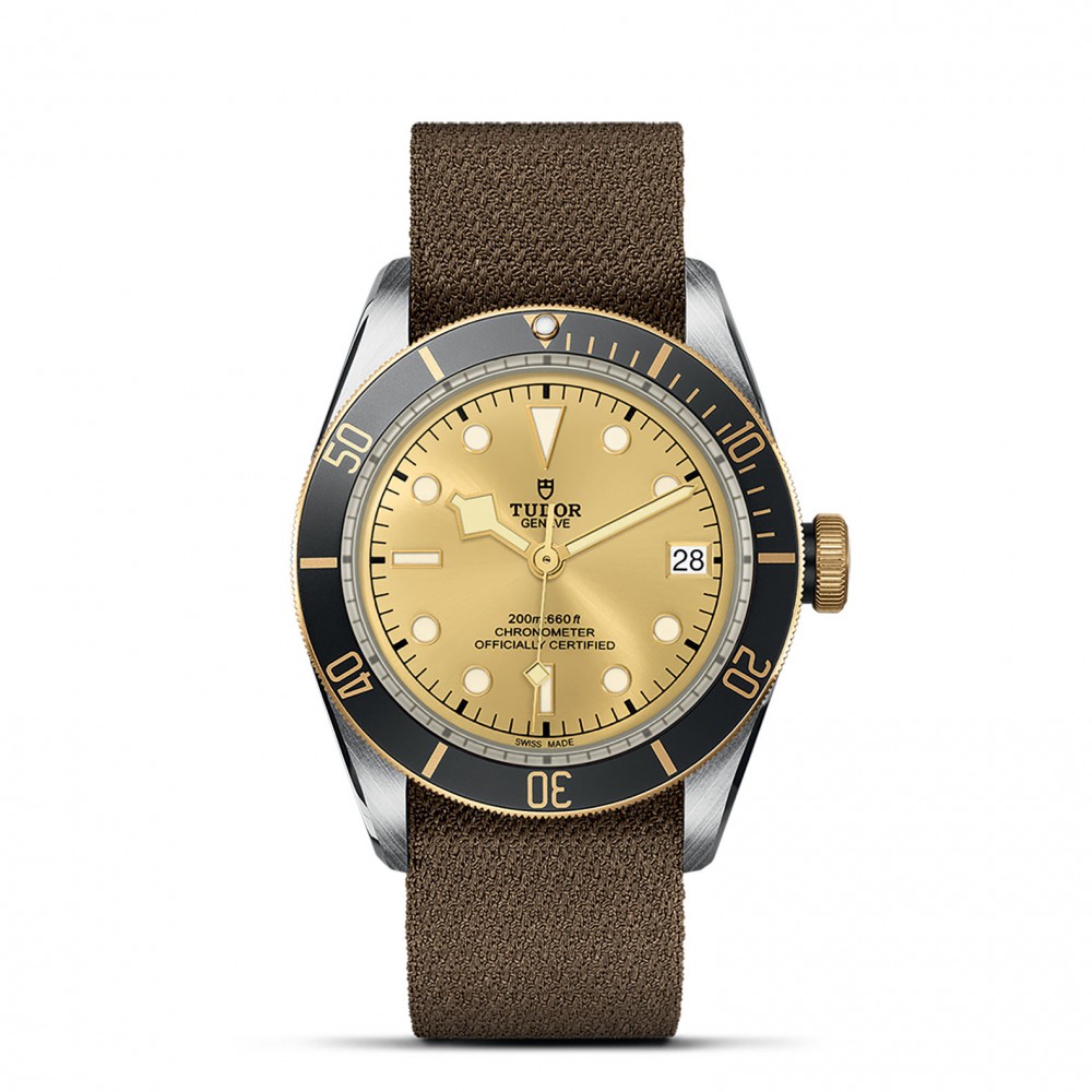 TUDOR Black Bay Watch - M79733N-0006 at Kerns Fine Jewelry
