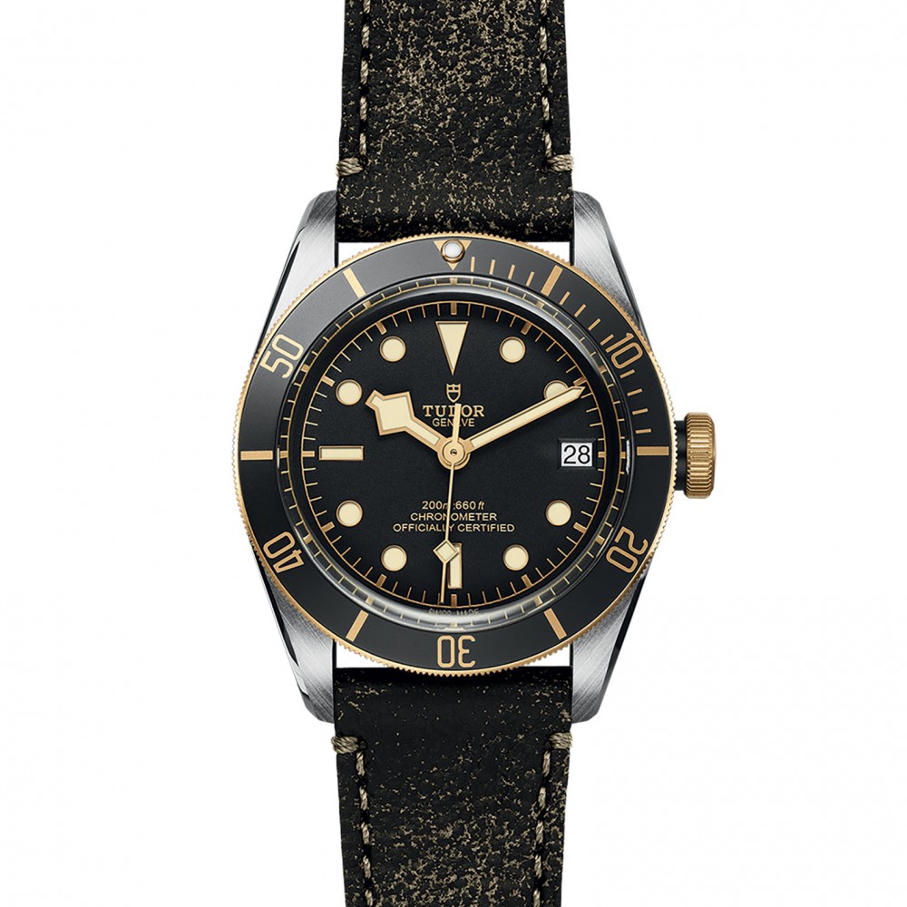 TUDOR Black Bay Watch - M79733N-0007 at Kerns Fine Jewelry