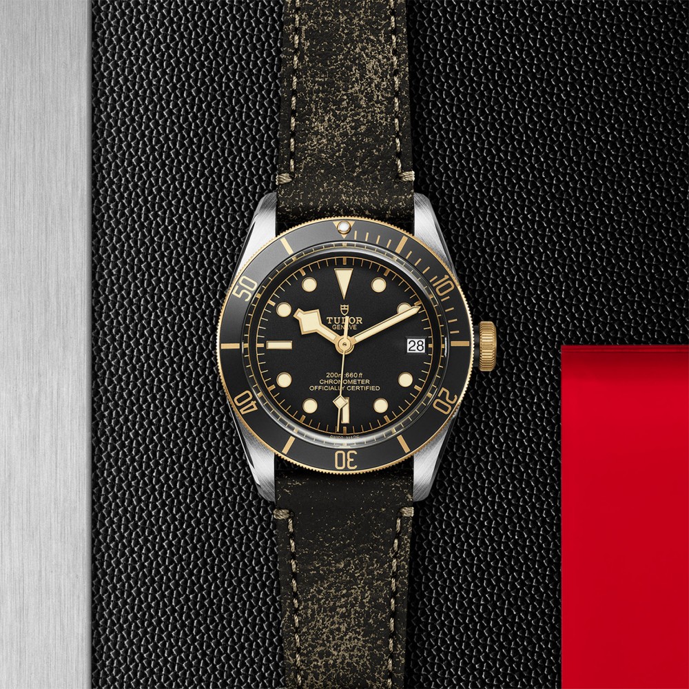 TUDOR Black Bay Watch - M79733N-0007 at Kerns Fine Jewelry