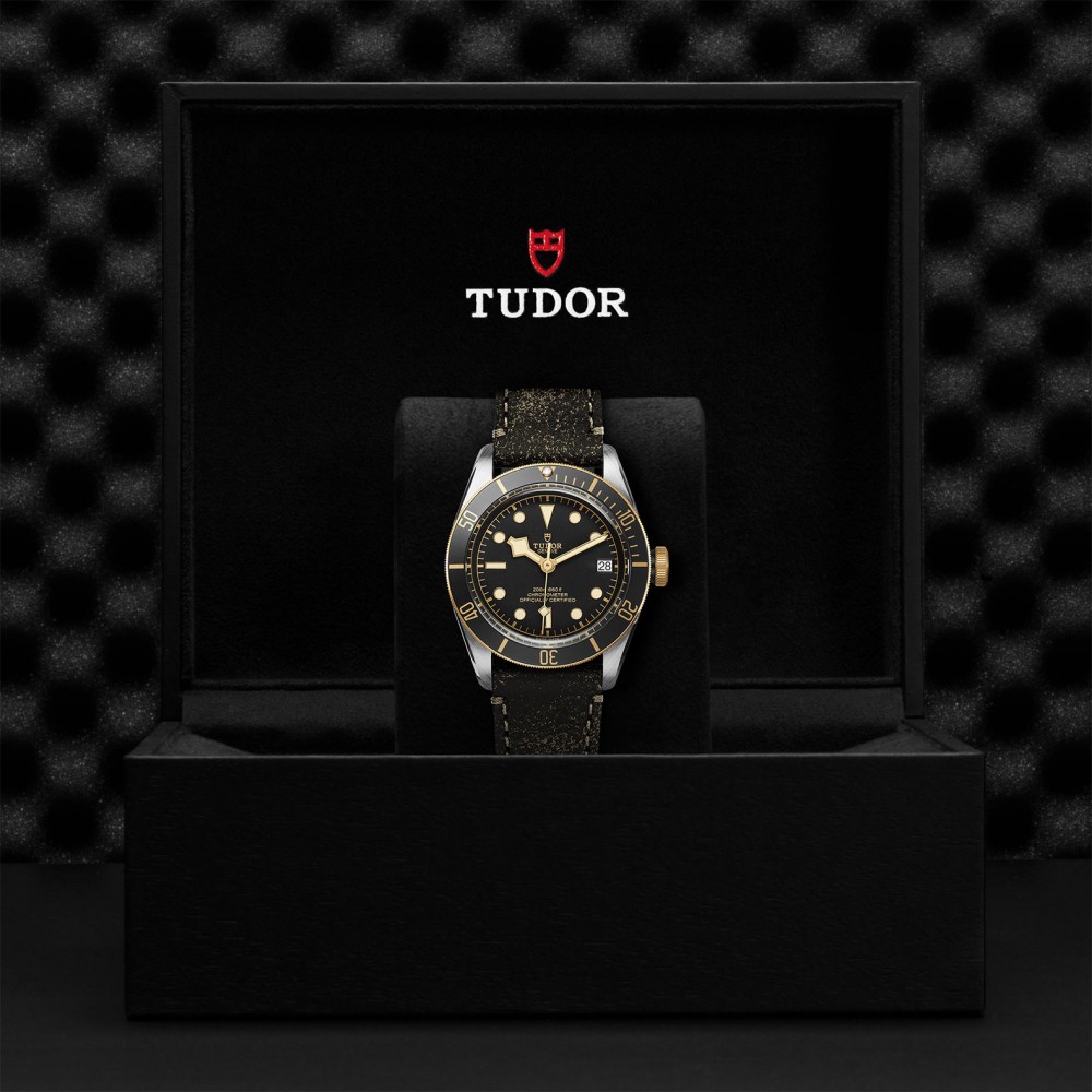 TUDOR Black Bay Watch - M79733N-0007 at Kerns Fine Jewelry