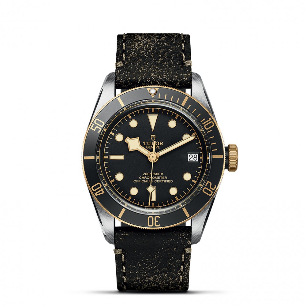 TUDOR Black Bay Watch - M79733N-0007 at Kerns Fine Jewelry