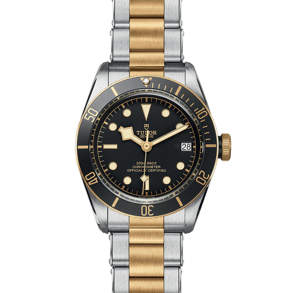 TUDOR Black Bay Watch - M79733N-0008 at Kerns Fine Jewelry