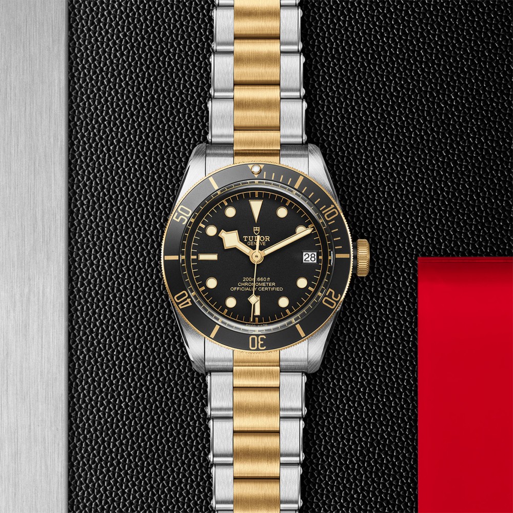 TUDOR Black Bay Watch - M79733N-0008 at Kerns Fine Jewelry