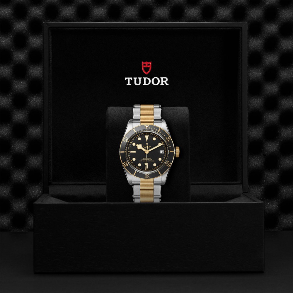 TUDOR Black Bay Watch - M79733N-0008 at Kerns Fine Jewelry