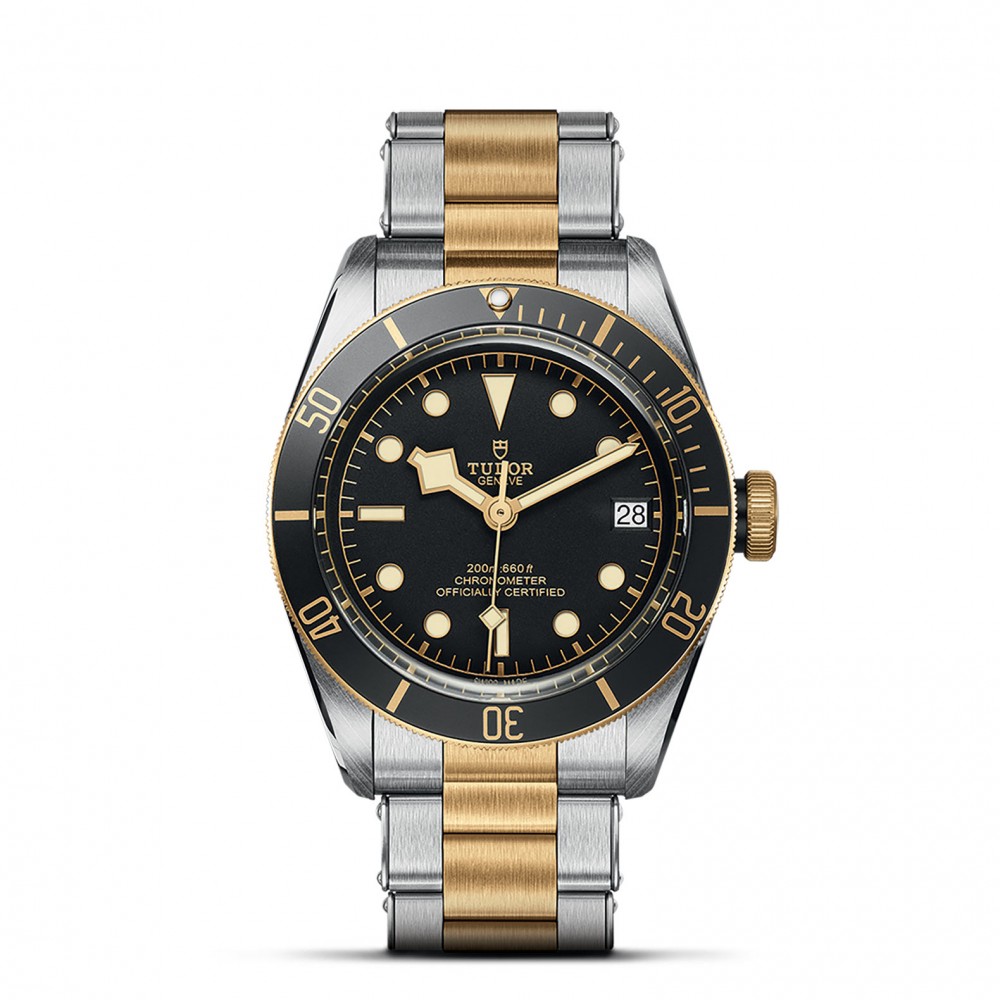 TUDOR Black Bay Watch - M79733N-0008 at Kerns Fine Jewelry