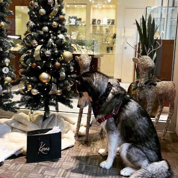 Kerns Fine Jewelry Jewelry and Watch Store in Burlingame, CA