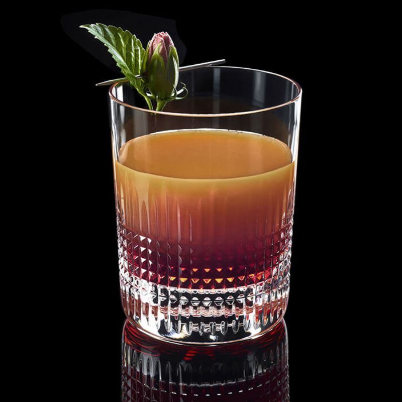 Baccarat 4 Elements Tumblers Set