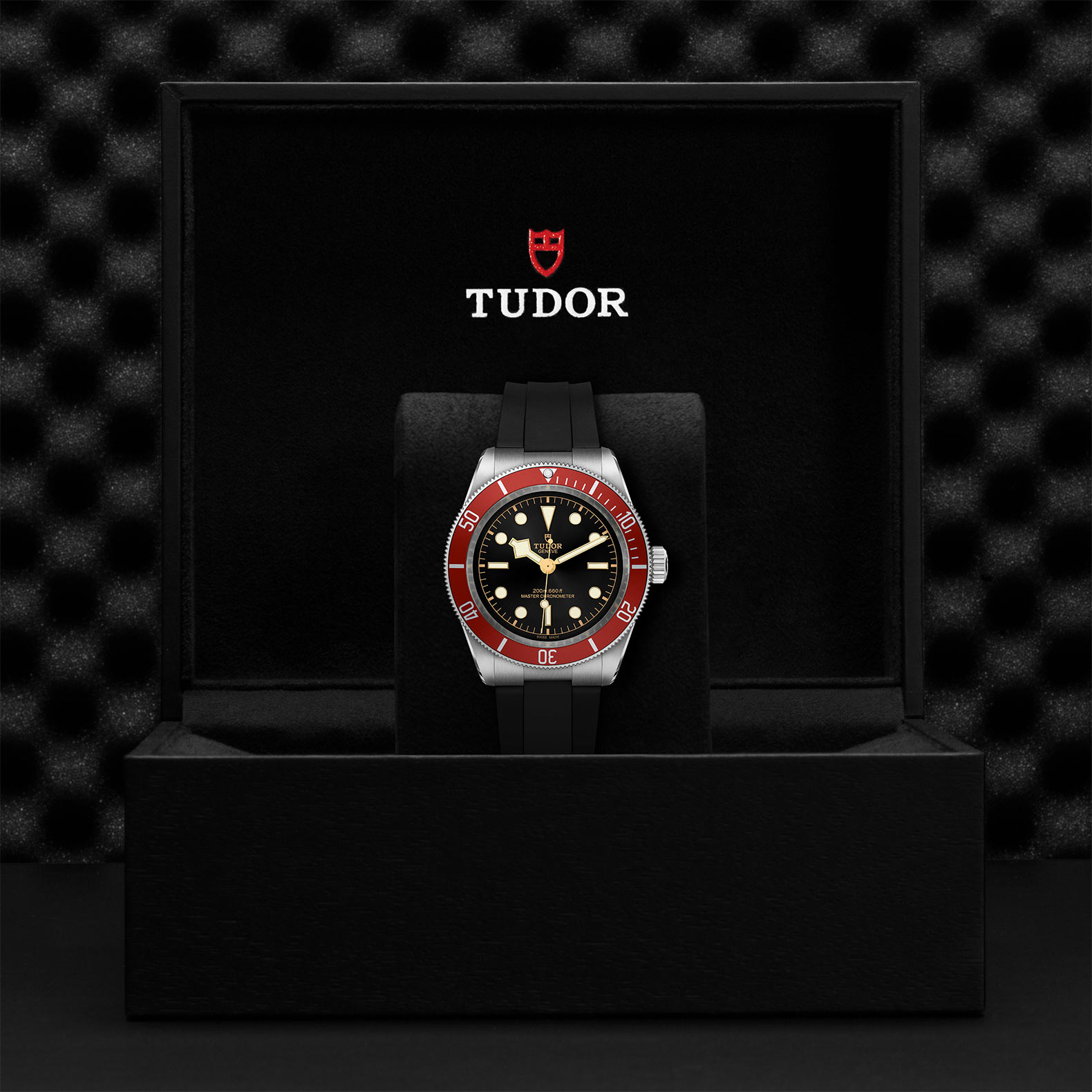 TUDOR Black Bay Watch - M7941A1A0RU-0002 at Kerns Fine Jewelry